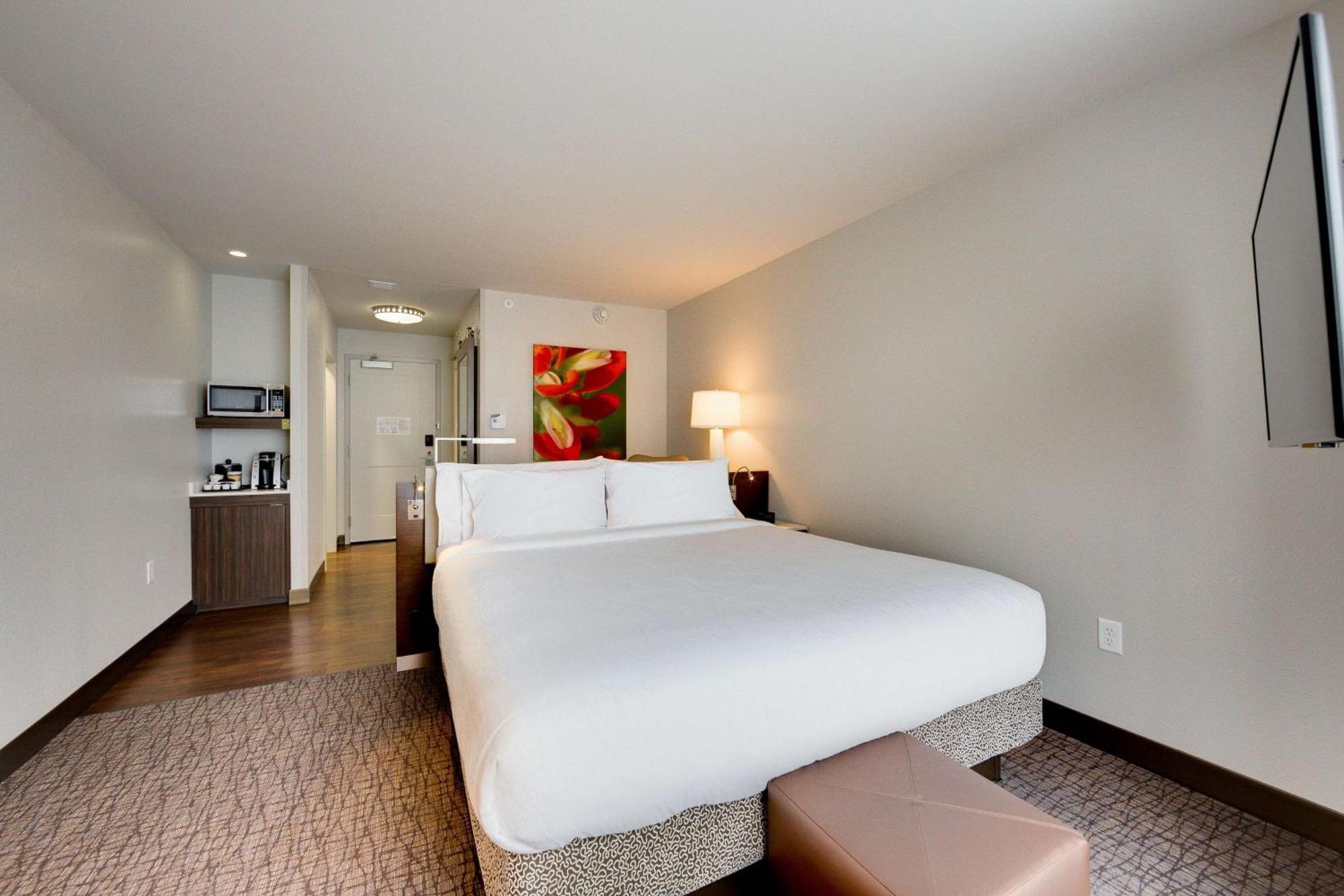 Hilton Garden Inn North Houston Spring Esterno foto